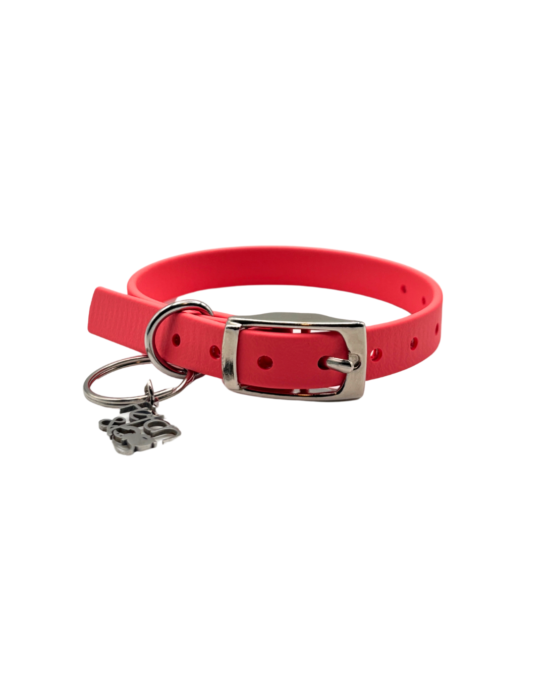 Traditional Buckle Collar