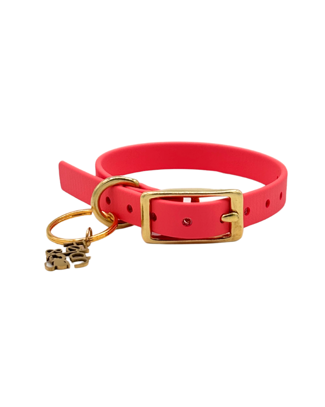 Traditional Buckle Collar