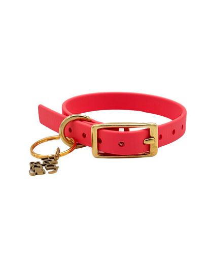 Traditional Buckle Collar