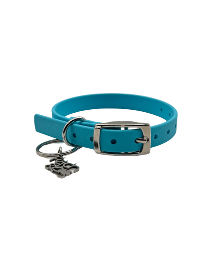 Traditional Buckle Collar