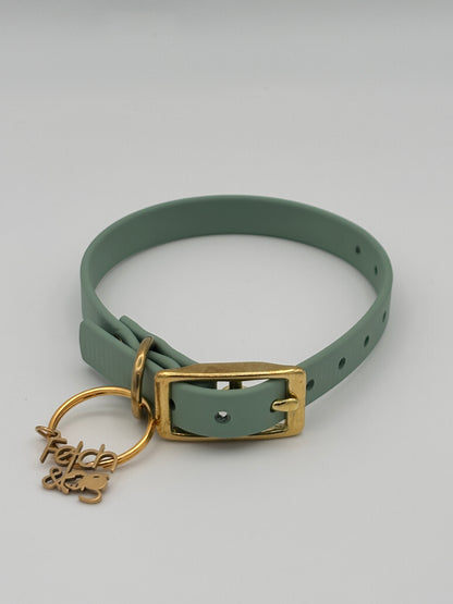 Traditional Buckle Collar