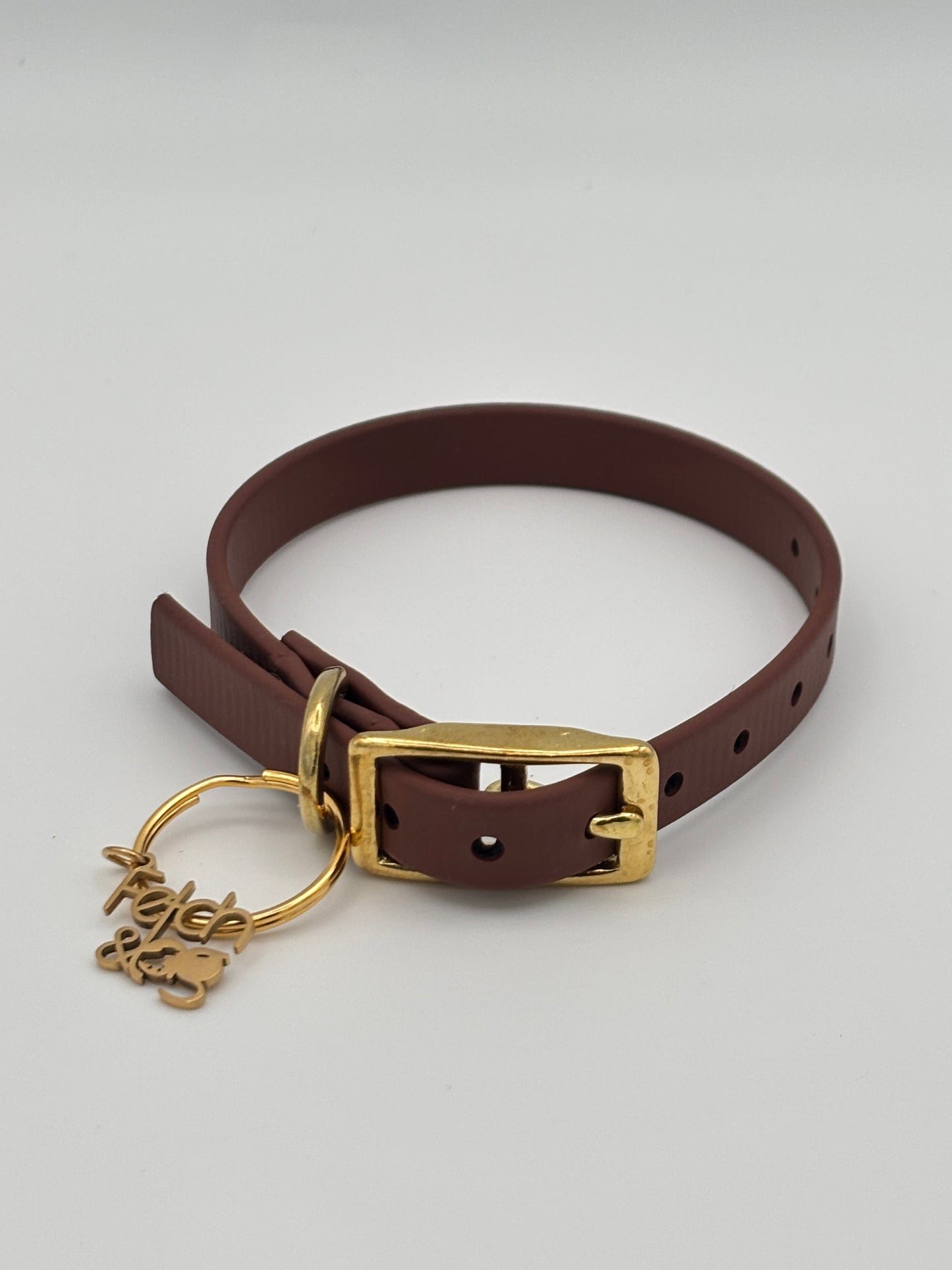 Traditional Buckle Collar