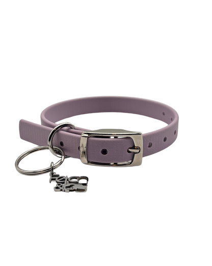 Traditional Buckle Collar