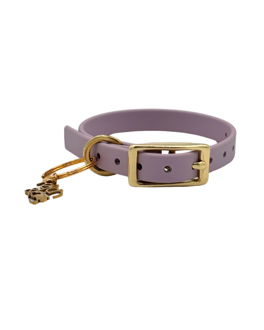 Traditional Buckle Collar