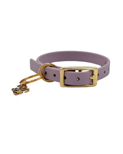 Traditional Buckle Collar