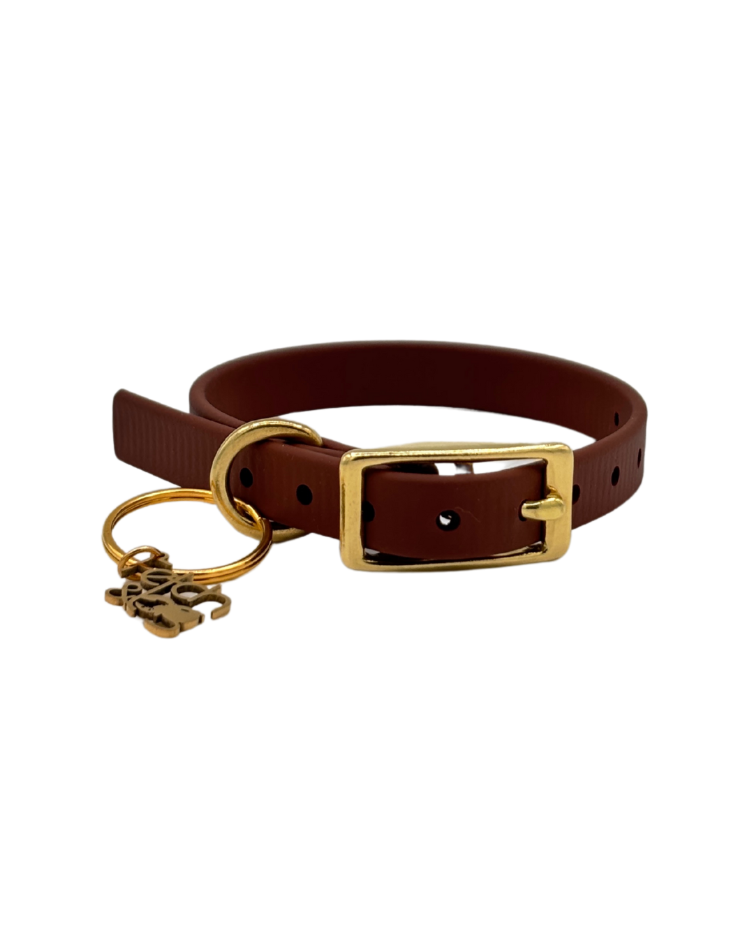 Traditional Buckle Collar