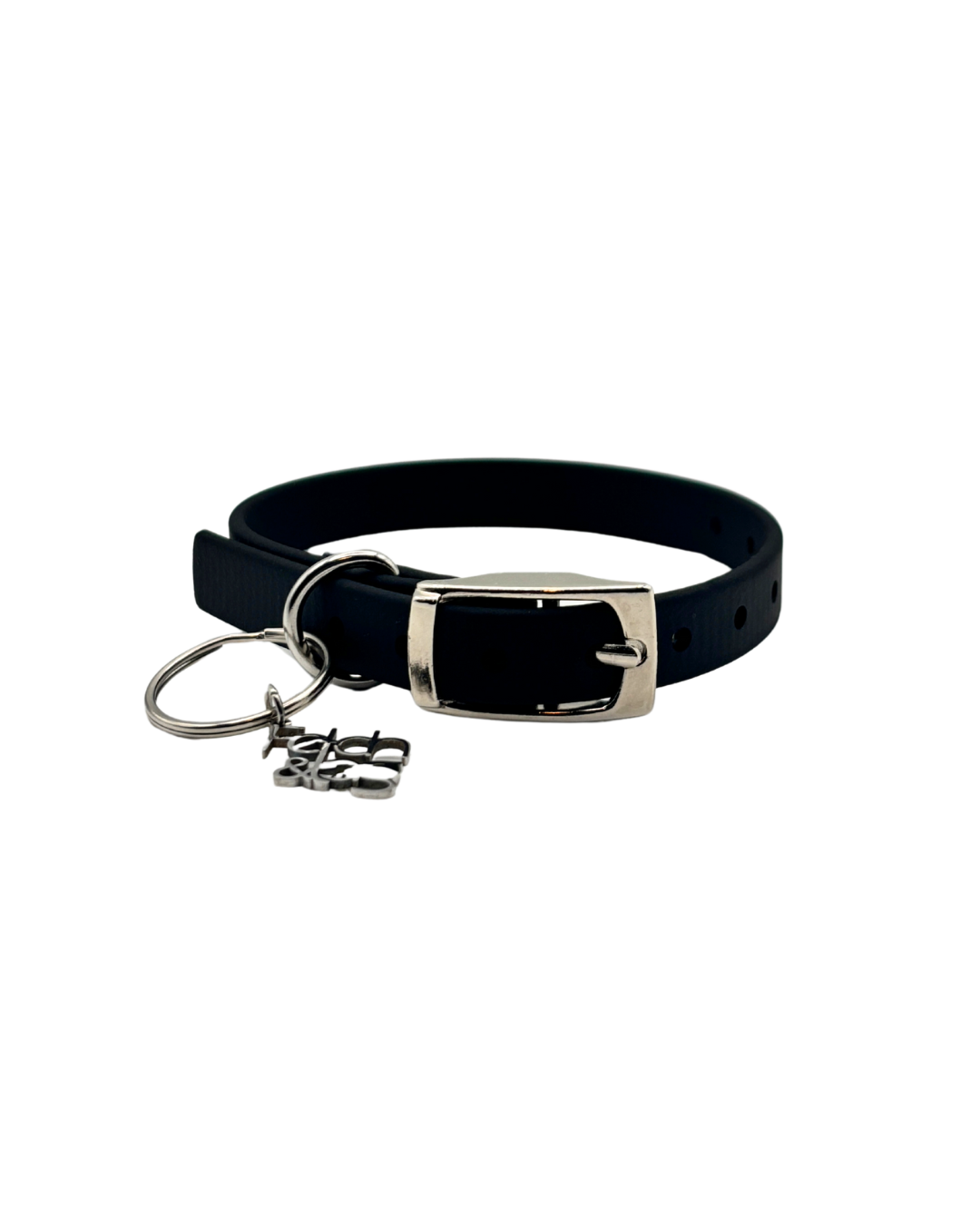 Traditional Buckle Collar