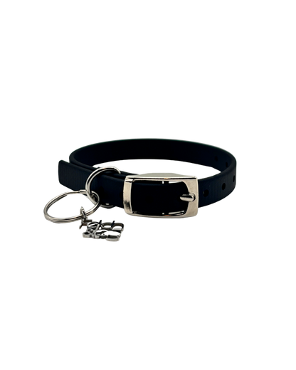 Traditional Buckle Collar
