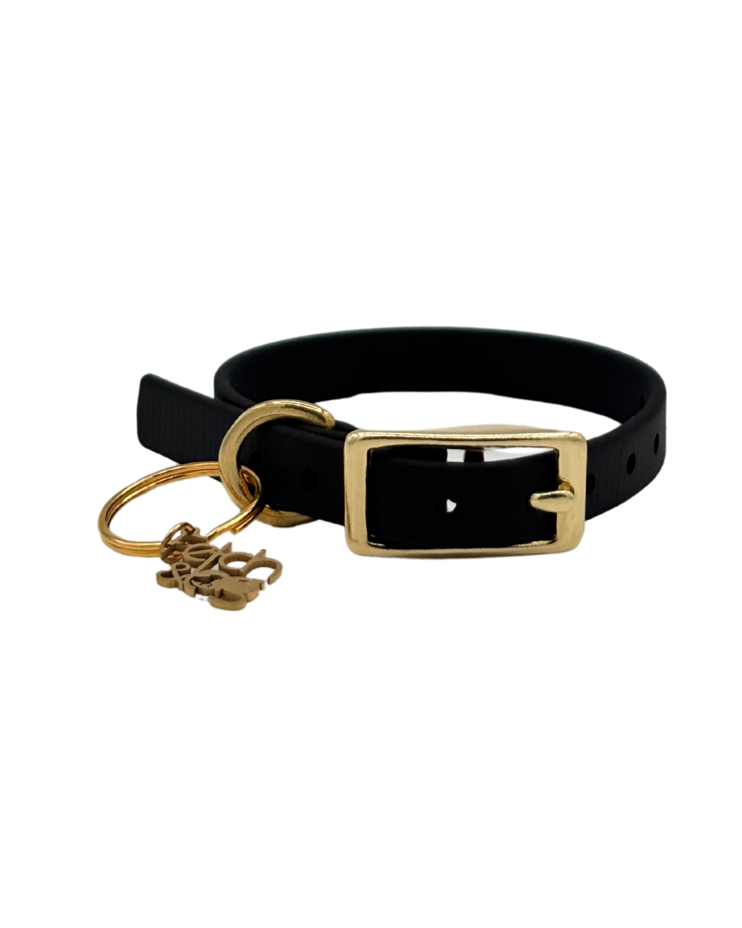 Traditional Buckle Collar