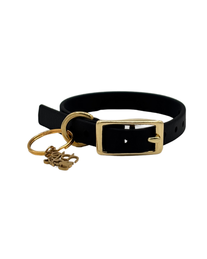 Traditional Buckle Collar