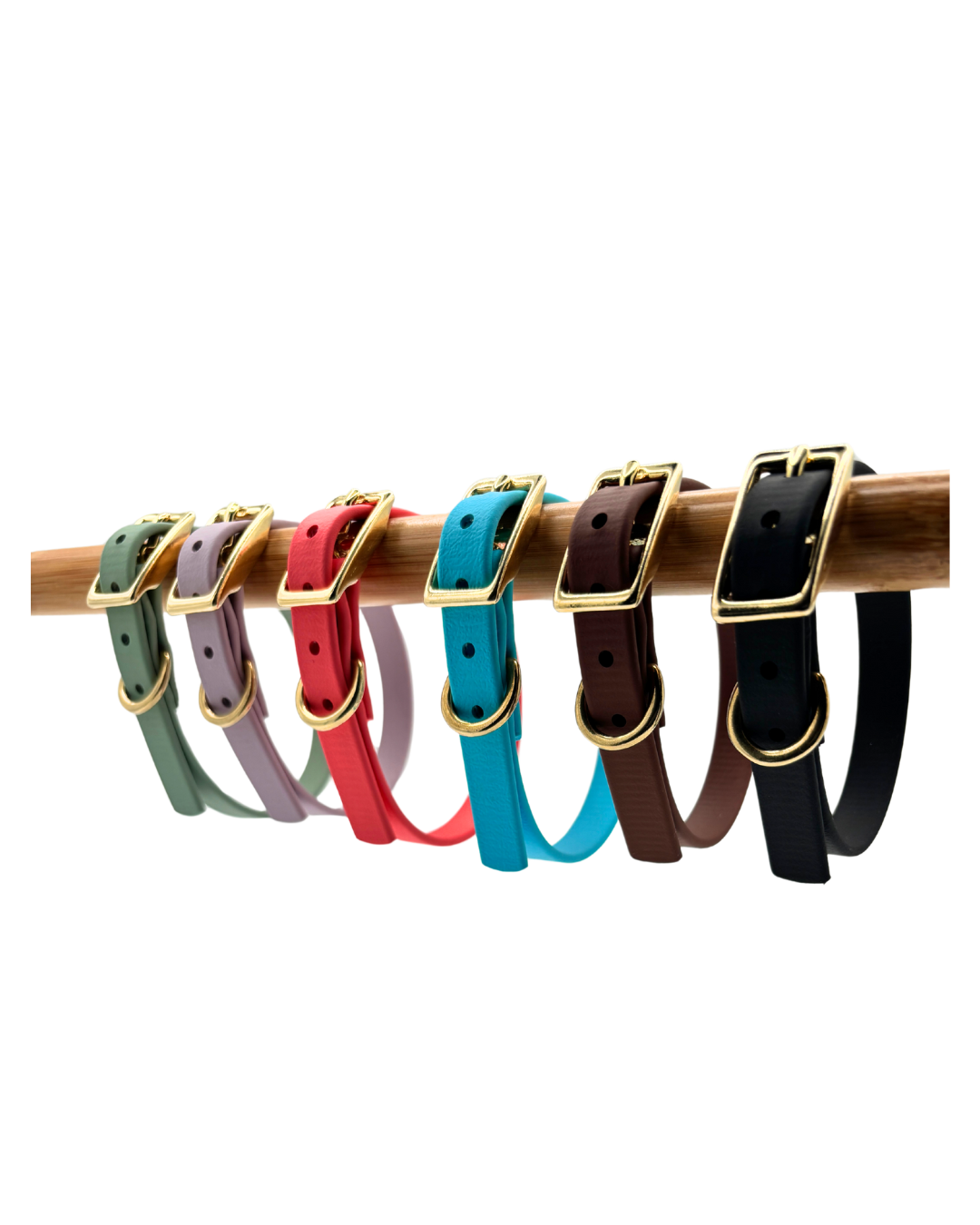 Traditional Buckle Collar