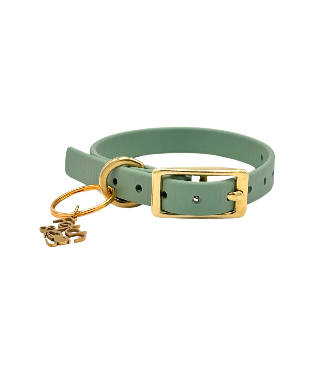 Traditional Buckle Collar